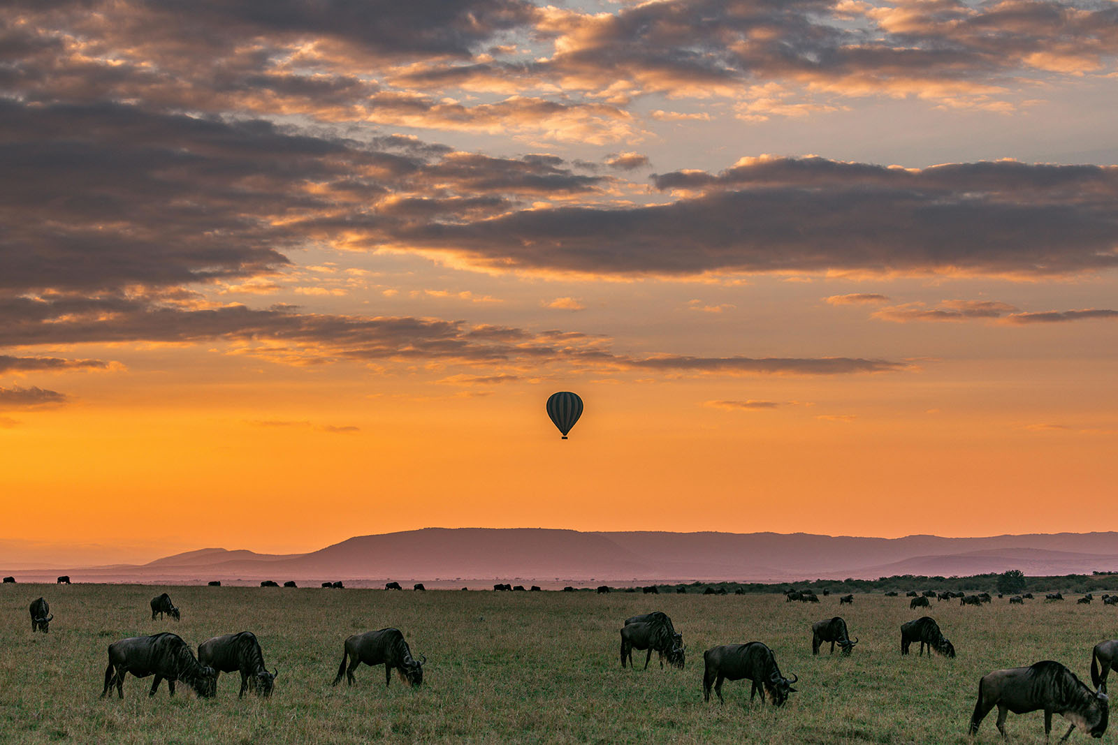 sudafrica_wide_02